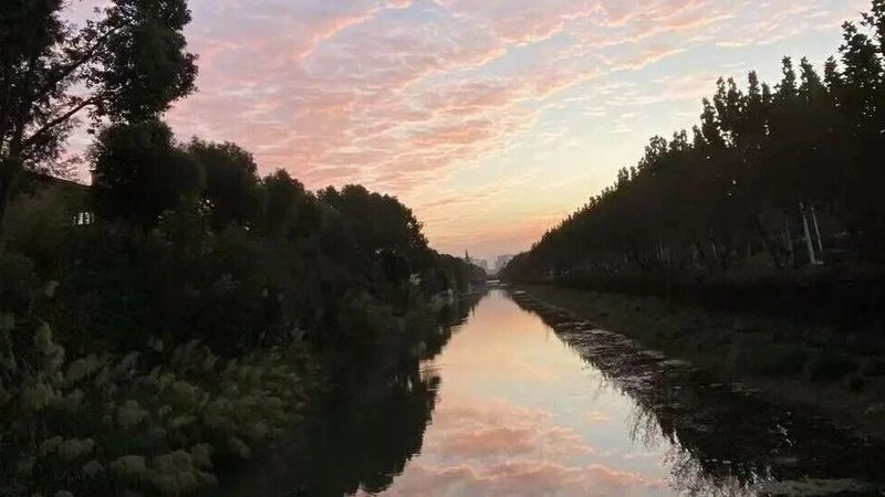 财税公司服务内容对比